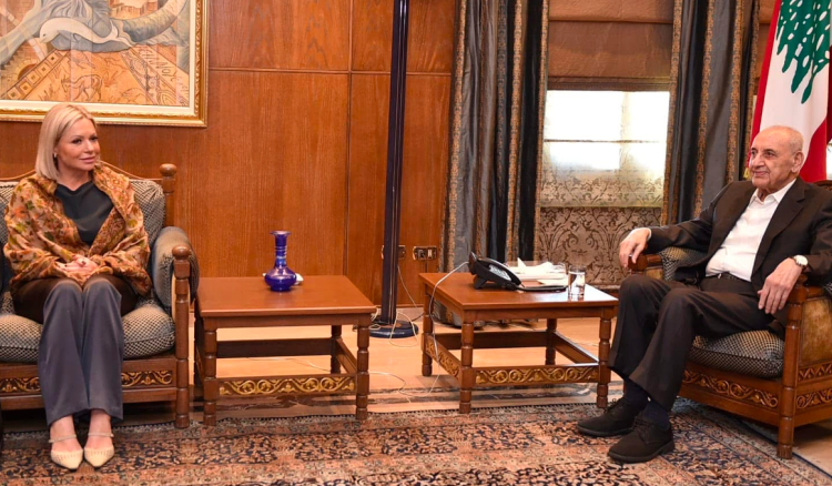 بري بحث مع بلاسخارت في المستجدات جنوبا