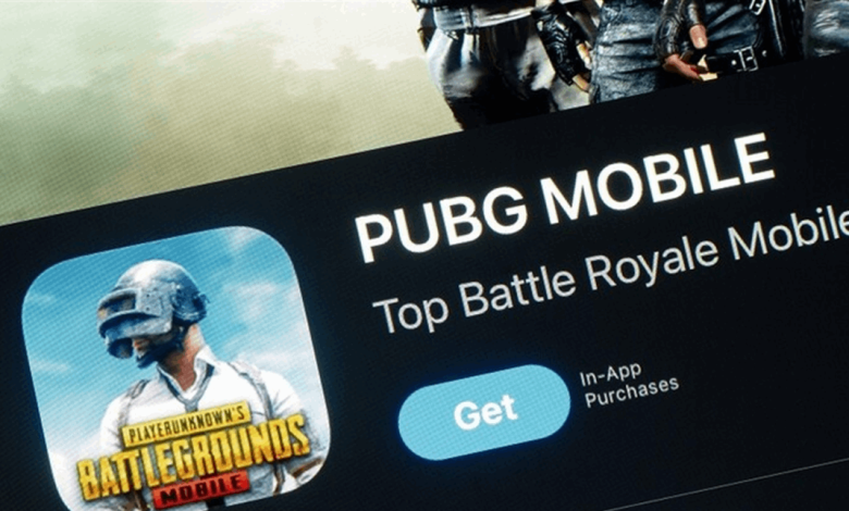 بسبب لعبة "PUBG" وقبل موعد الإفطار.. رجل ينهي حياة شقيقين