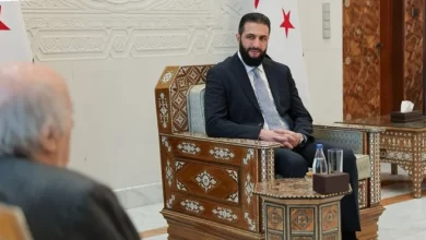 جنبلاط والشرع اتفقا على تأمين الدروز وانخراطهم بالدولة