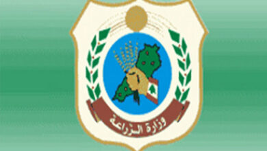 وزارة الزراعة: تسطير محاضر ضبط في مرفأي الدورة والأوزاعي