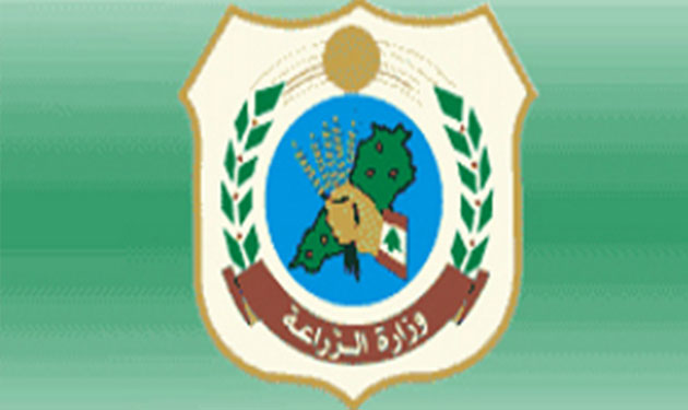 وزارة الزراعة: تسطير محاضر ضبط في مرفأي الدورة والأوزاعي